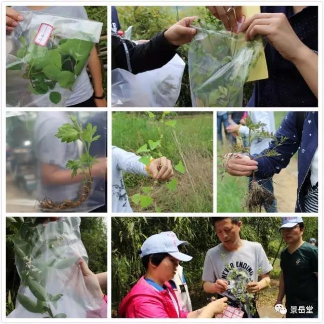 港澳宝典免费资料大全