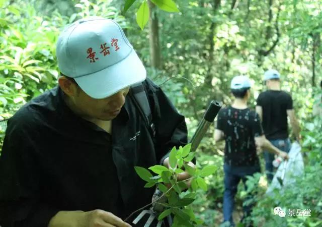 港澳宝典免费资料大全