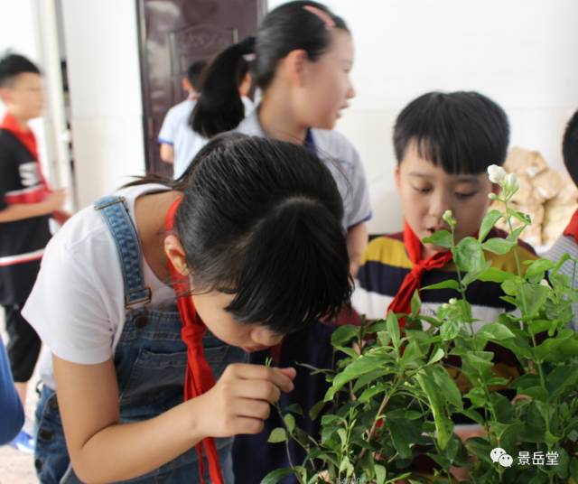 港澳宝典免费资料大全