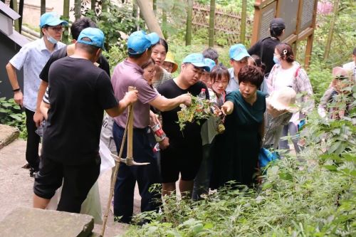 港澳宝典免费资料大全